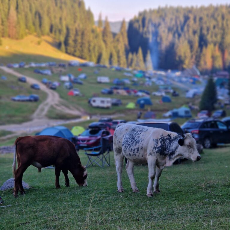 Wild-Way-Expedition-avantura-Romunija-5