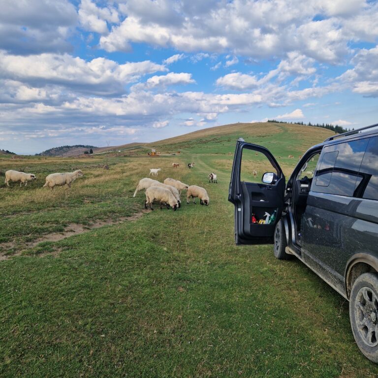 Wild-Way-Expedition-avantura-Romunija-13