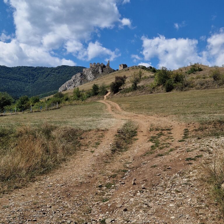 Wild-Way-Expedition-avantura-Romunija-15