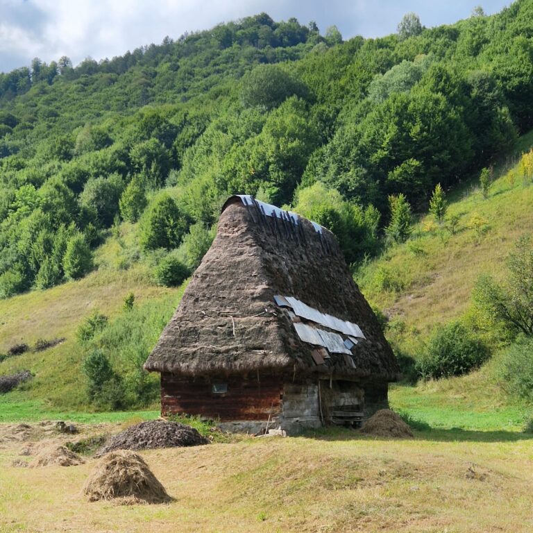 Wild-Way-Expedition-avantura-Romunija-16