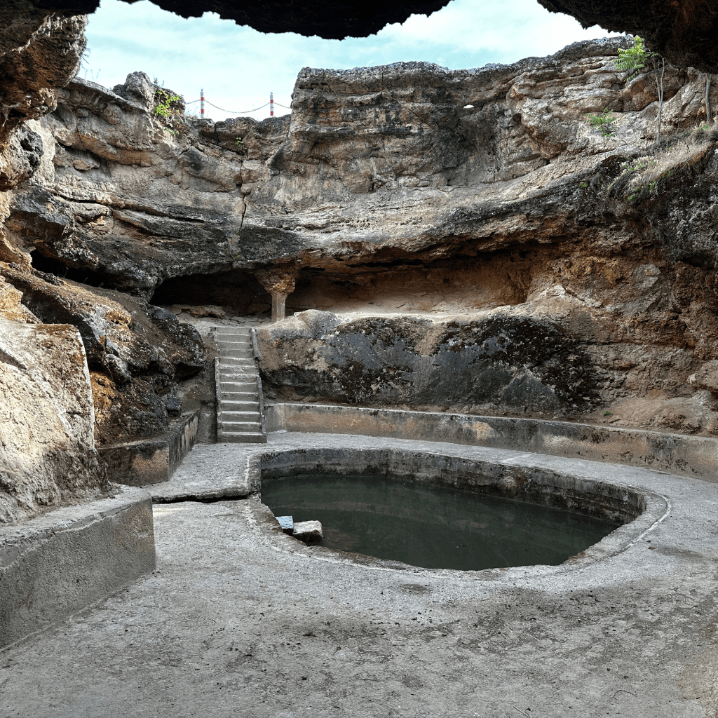 Brez naslova (Facebook Shops Cover (Square))33-min